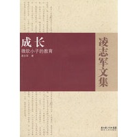 成长－微软小子的教育