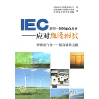 IEC2010~2030年白皮书——应对能源挑战