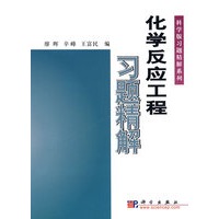 化学反应工程习题精解（科学版习题精解系列）