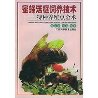 蜜蜂活框饲养技术——特种养殖点金术丛书