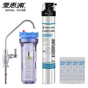 美国原装进口通用GE软水机GXSF18G
