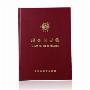成文厚帐页账本单据凭证 现金日记账本