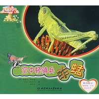 空中轻骑兵蚱蜢
