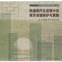 快速现代化进程中的南京老城保护与更新——南京城市规划探索与实践丛书