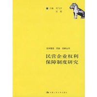民营企业权利保障制度研究（法学理念·实践·创新丛书）