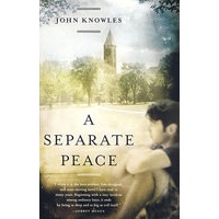 独自和解/SEPARATE PEACE