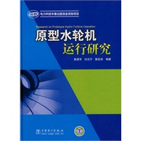 原型水轮机运行研究