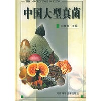 中国大型真菌（精装）