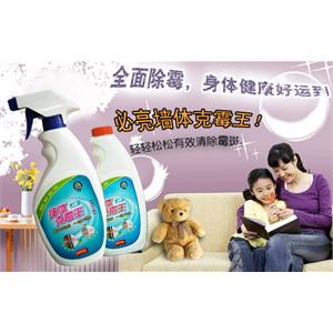 雅艺居墙体克霉王 墙面除霉剂加控霉剂 800ML