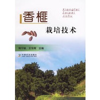 香榧栽培技术
