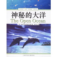神秘的大洋