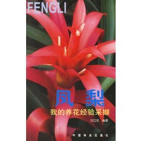 我的养花经验采撷 凤梨