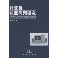 计算机犯罪问题研究