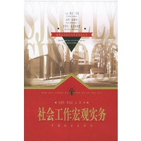 社会工作宏观实务/世界社区理论与实务经典丛书