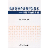 低渗透砂岩油藏开发技术:以胜利油田为例