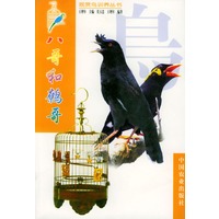 八哥和鹩哥
