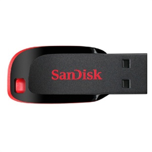 SanDisk 闪迪（特价）Cruzer Blade CZ50 酷刃 32G 优盘 U盘