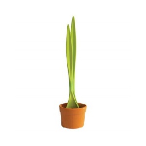 环球品汇 绿色植物沙拉套件