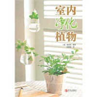 室内净化植物