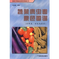 蔬菜病虫害原色图谱：茄果类、水生类蔬菜——园林作物病虫害原色图谱丛书