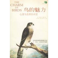 鸟的魅力:心灵与自然的对话