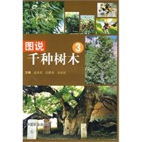 图说千种树木(3)