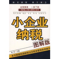 无师自通财会系列小企业纳税（图解版）（11）