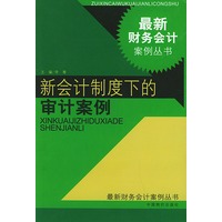 新会计制度下的审计案例
