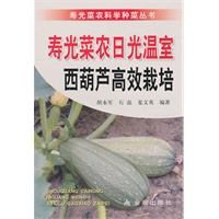 寿光菜农日光温室西葫芦高效栽培
