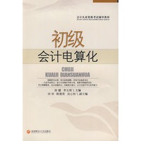 初级会计电算化
