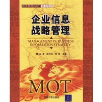 企业信息战略管理——技术管理（MOT）系列教材