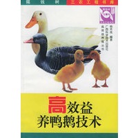 高效益养鸭鹅技术——高效益养殖丛书