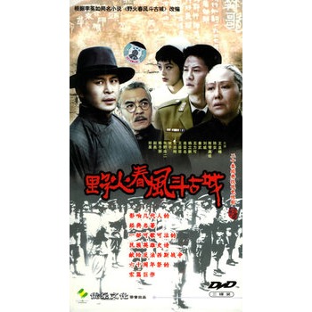 野火春风斗古城:二十集经典抗战电视剧(3hdvd)(王亚楠,陈实主演)