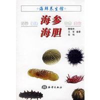 海鲜养生馆—海参、海胆