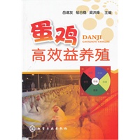 蛋鸡高效益养殖