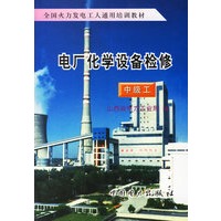 电厂化学设备检修（中级工）