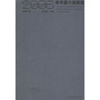 2006年中篇小说新选