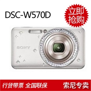 索尼 W570D数码相机+4GB存储卡 专用包 读卡器 贴膜 原装BN1电池