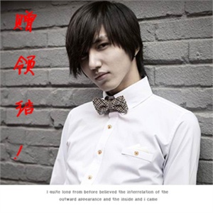 2011秋冬新款 韩版修身奢华长袖衬衫 送领结 潮男休闲C02-B33
