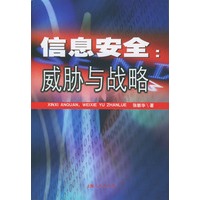 信息安全:威胁与战略