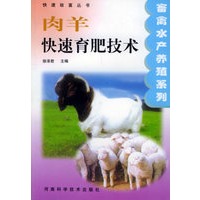 肉羊快速育肥技术——快速致富丛书·畜禽水产养殖系列