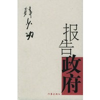 报告政府