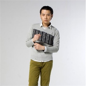 HIEND 2011秋冬款 男士毛线绣针织衫 修身款 D734