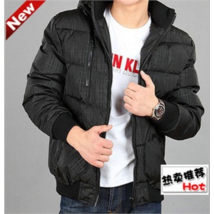 2011新款男士羽绒服 短款韩版休闲外套901#