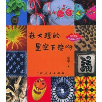 在大理的星空下接吻（附CD-ROM光盘一张）