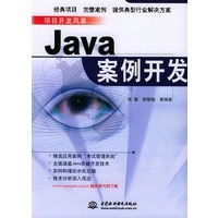 Java案例开发——项目开发风暴