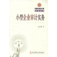小型企业审计实务