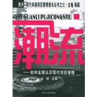 潮流:如何全面认识现代项目管理——南开·现代卓超项目管理普及丛书