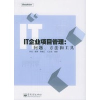 IT企业项目管理：问题、方法和工具
