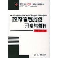 政府信息资源开发与管理——面向21世纪电子政务专业核心课程系列教材·全国高等院校电子政务联编教材